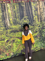Load image into Gallery viewer, Colorblock Flare Pant Set Brown (S-L)
